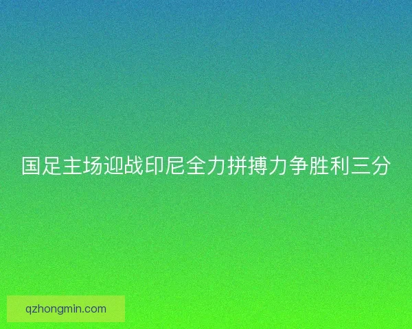 国足主场迎战印尼全力拼搏力争胜利三分