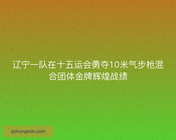 辽宁一队在十五运会勇夺10米气步枪混合团体金牌辉煌战绩